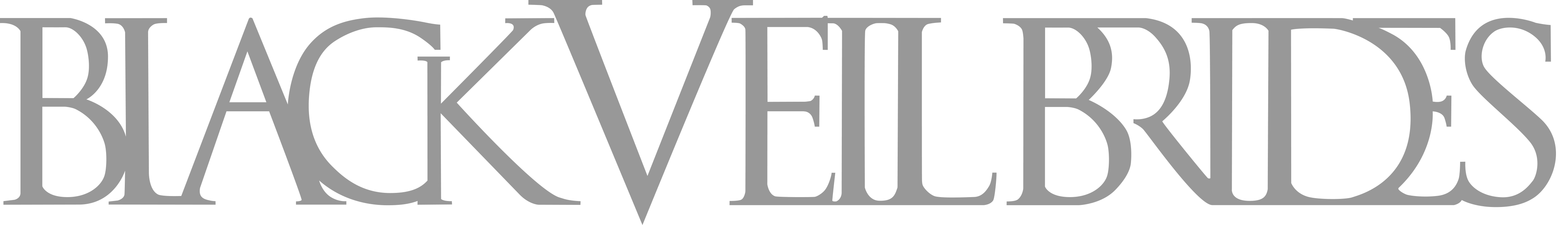 BVB Text Logo silver